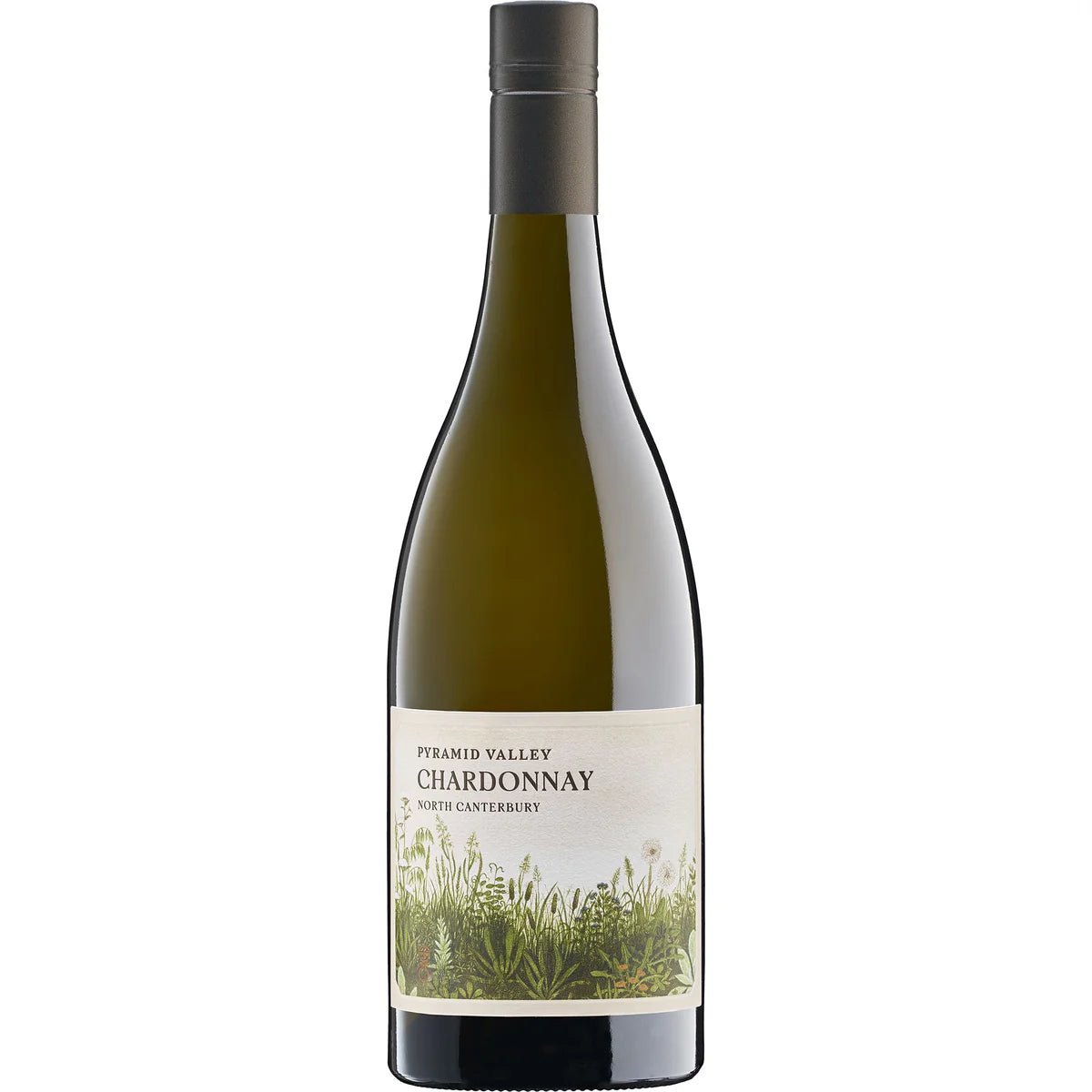 金字塔谷酒莊北坎特布雷莎當妮2023年 PYRAMID VALLEY NORTH CANTERBURY CHARDONNAY