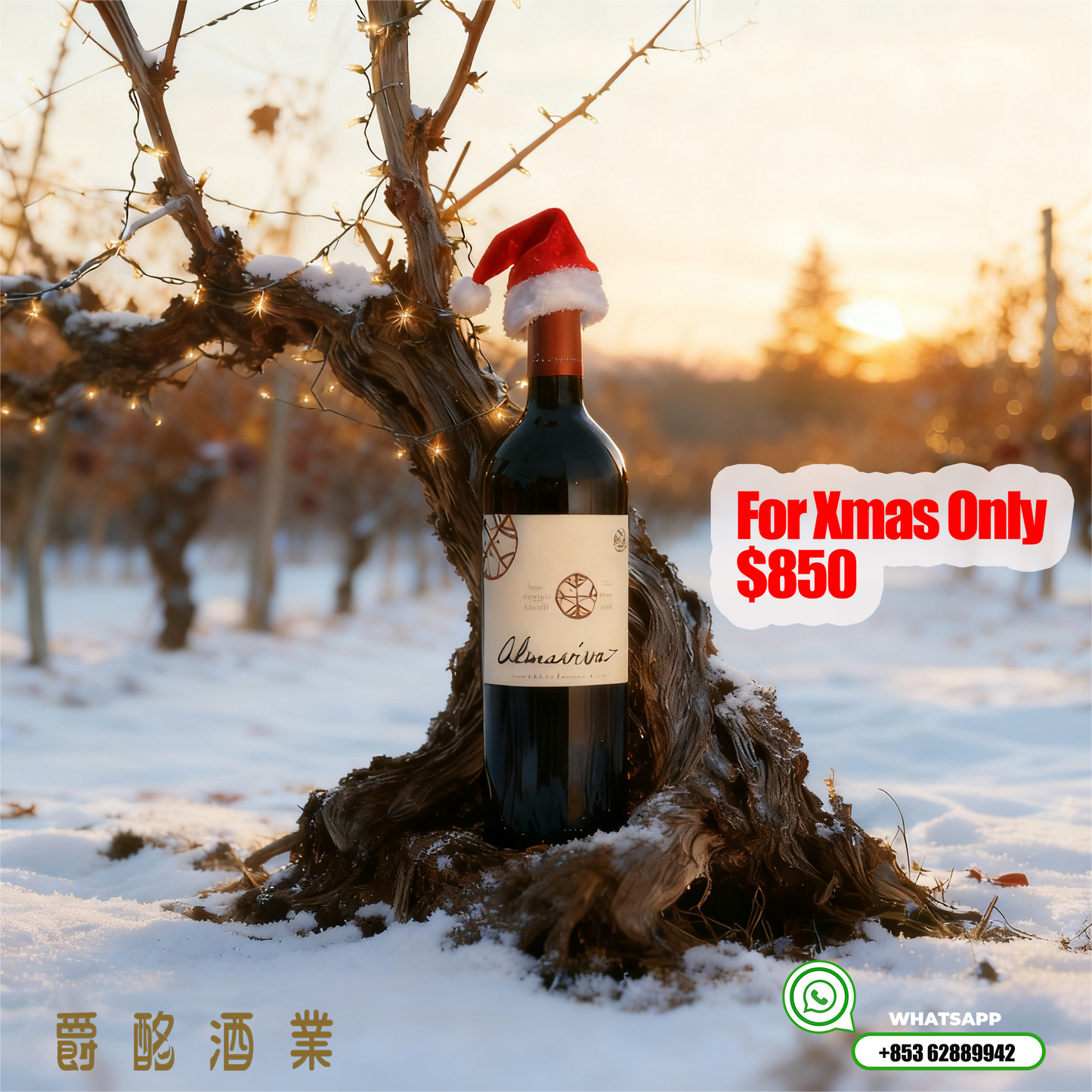 聖誕月特別優惠-活靈魂Almaviva