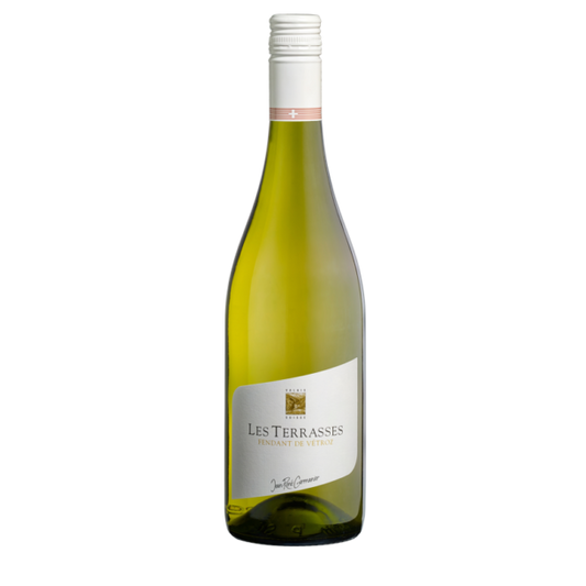 瑞士珍蕾妮日耳曼酒莊霞斯拉白2023年  Domaine Jean-Rene Germanier Fendant Vetroz Les Terrasses