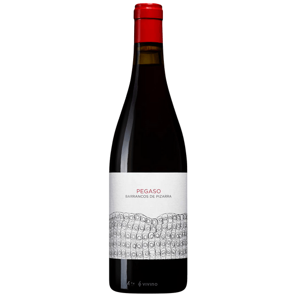 太勒摩酒莊飛馬座PIZARRA2021年750ml   Telmo Rodriguez  PEGASO PIZARRA 2021